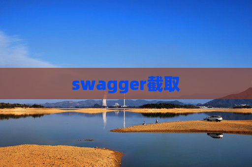 swagger截取